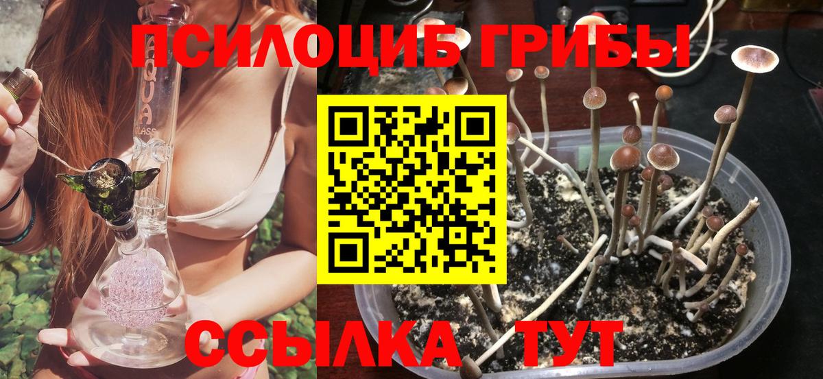 Бор  Галлюциногенные грибы прущие грибы  Вход с VPN 